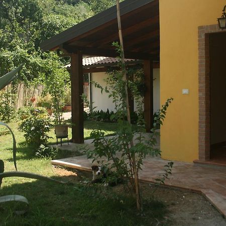 B&B Del Castagneto San Marco Argentano Экстерьер фото
